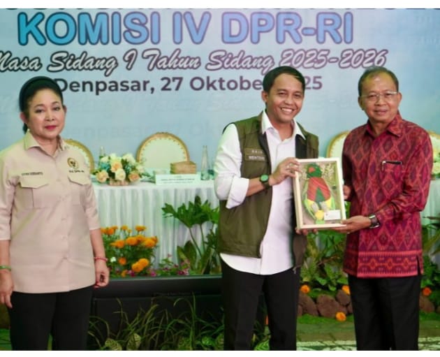 WhatsApp Image 2025-10-28 at 16.30.56