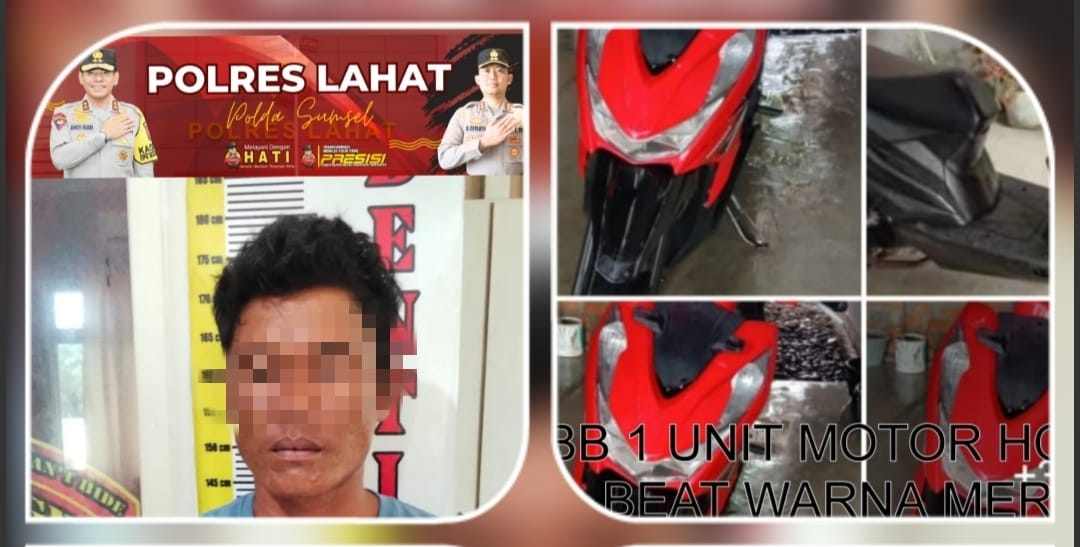 WhatsApp Image 2025-11-07 at 19.29.03_11zon